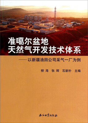 

准噶尔盆地天然气开发技术体系：以新疆油田公司采气一厂为例