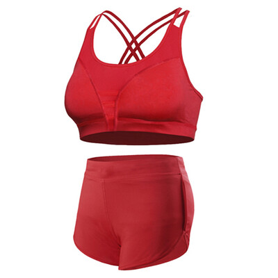 

Sexy tight Yoga suit fast drying fitness sports pants bra gym ladies wear