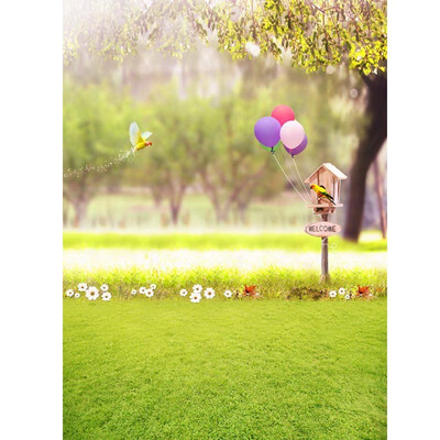 

Flying Birds&Balloons Photo Backdrop 57FT Vinyl Fabric Cloth Digital Printing Photo Background s-614
