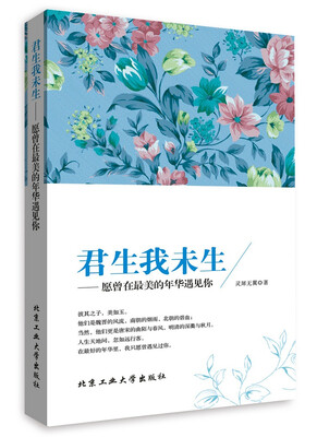 

君生我未生愿曾在最美的年华遇见你