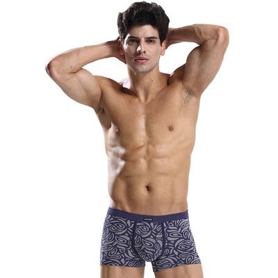 

JIANJIANG Men's Underwear 2 Pack Print Cotton Casual Boxer Briefs
