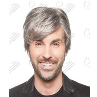 

QianBaiHui Short Straight Wig for Men Silver Grey Heat Resistant Synthetic Hair Wigs Natural Looking Fashion Wigs with Wig Cap