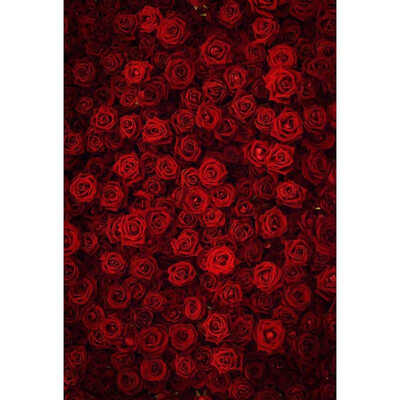 

Lots of Dark Roses Photo Backdrop 57FT Vinyl Fabric Cloth Digital Printing Photo Background -3171