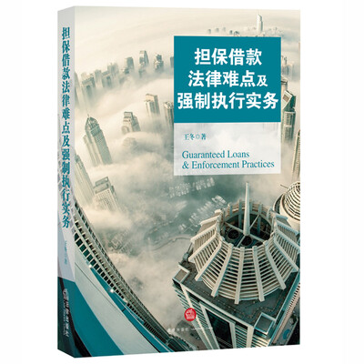 

担保借款法律难点及强制执行实务