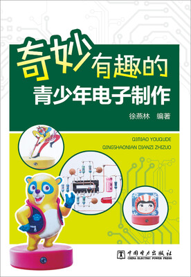 

奇妙有趣的青少年电子制作