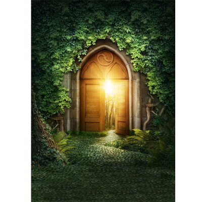 

Golden Door Photo Backdrop 57FT Vinyl Fabric Cloth Digital Printing Photo Background s-676