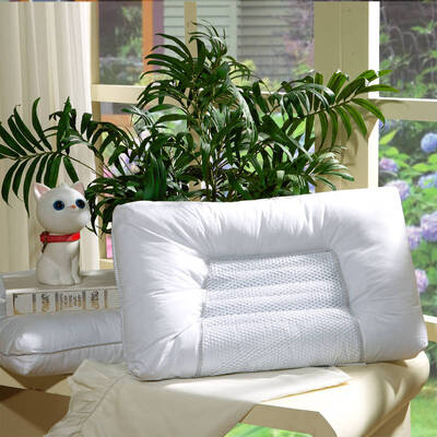 

Jingdong Supermarket Fu Anna FUANNA home textiles pillow single herbal pillow pillow Chestnut breathable student pillow 60cm 38cm