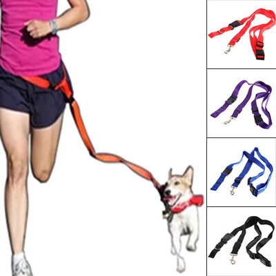 

Нейлон Поводок Веревка Собака Обучение скольжения Ведущий ремень Регулируемый тяги воротник