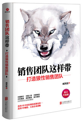 

销售团队这样带修订升级版
