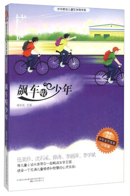 

飙车啦少年/中华原创儿童文学网书系