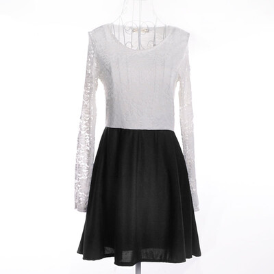 

Women's Long Sleeved Lace Bodycon Dress