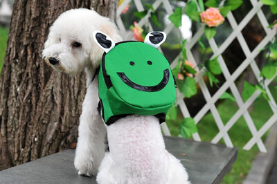 

mymei новых кпп животное питомца бумажник мешок кошелек монеты из сумки щенок рюкзак 4 цветов