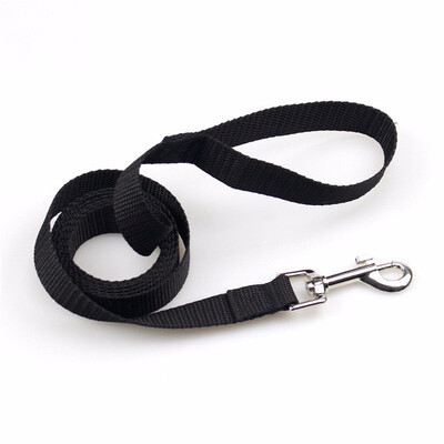 

Cntomlv Pet dog leash nylon Leash for dogs 4 Colors 10M Walking Training Leash Cats Dogs Harness Collar Leash Strap Belt