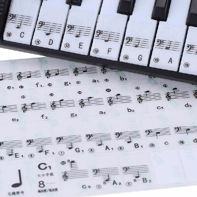 

Transparent 49 61 Key Electronic Keyboard 88 Key Piano Stave Note Sticker for White Keys