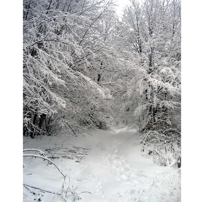 

Xmas Big Snow Photo Backdrop 57FT Vinyl Fabric Cloth Digital Printing Photo Background st-582