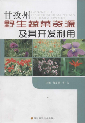 

甘孜州野生蔬菜资源及其开发利用