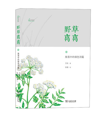 

野草离离：角落中的绿色诗篇