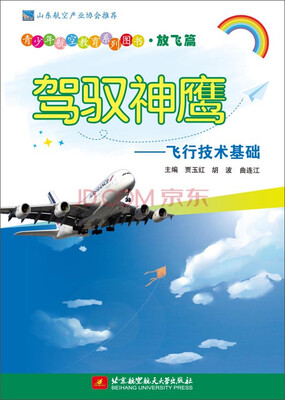 

青少年航空教育系列图书·放飞篇·驾驭神鹰：飞行技术基础