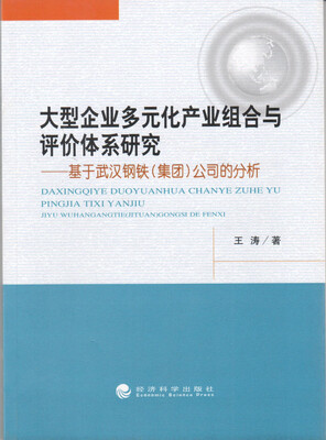 

大型企业多元化产业组合与评价体系研究
