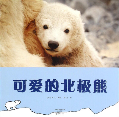 

可爱的北极熊