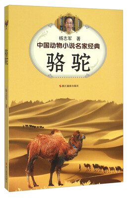 

骆驼