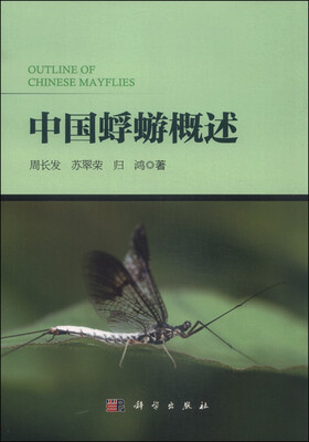 

中国蜉蝣概述