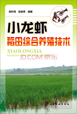 

小龙虾稻田综合养殖技术