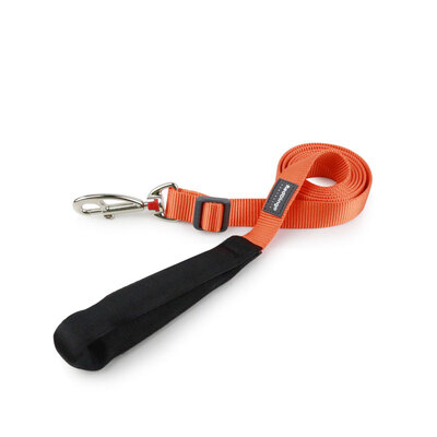 

【Jingdong Supermarket】 Ruiding dog (RedDingo) dog with pet supplies dog dog collar dog chain dog rope net color 25mm lake blue