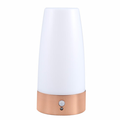 

LED body sensing night light Two modes manual switch&motion sensing automatically on when you are around Soft light