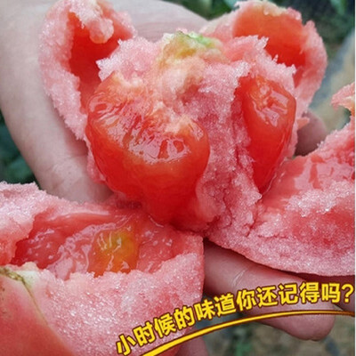 

Cntomlv bananas Hot Tomato Bonsai organic vegetable