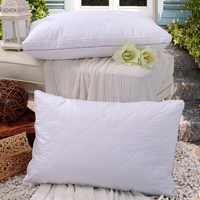 

Jingdong Supermarket] Fu Anna home pillow pillow pillow soft embroidery deep sleep pillow 70 * 45CM white