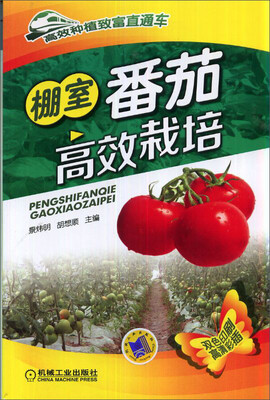 

高效种植致富直通车：棚室番茄高效栽培