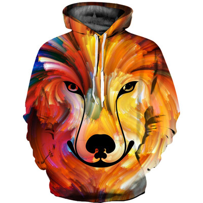 

QL-572 Mens Hoodie 3D Printed Women Pullover Sweater