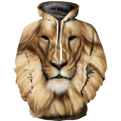 

QL-486 Mens Hoodie 3D Printed Women Pullover Sweater