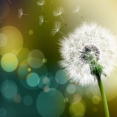 

UpperX Full 5D Diy Diamond Painting Cross Stitch "Dandelion" 3D Diamond Embroidery Rhinestone Mosaic Decor Paintings