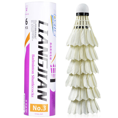 

Довольно хороший бадминтон гусиного пера попал в № 3 1 трубка 6 установлена