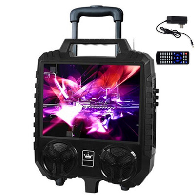

15 inch HD big screen trolley speaker outdoor portable stereo Bluetooth audio FM radio TF U disk MP3 player karaoke video machine