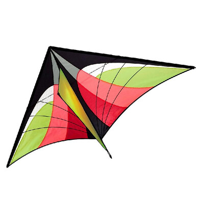 

160 x 90cm 63 x 355in Large Delta Kite Outdoor Sport Single Line Flying Kite
