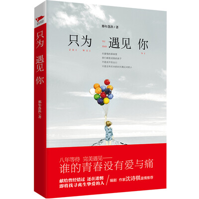 

只为遇见你