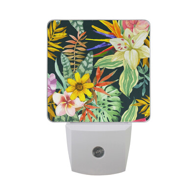 

ALAZA LED Night Light With Smart Dusk To Dawn SensorSea Shells Watercolor Illustration Plug In Night Light