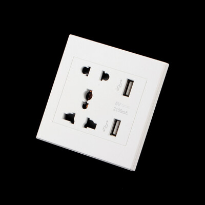 

Dual USB Port Electric Wall Charger Dock Socket Power Outlet Panel Plate White