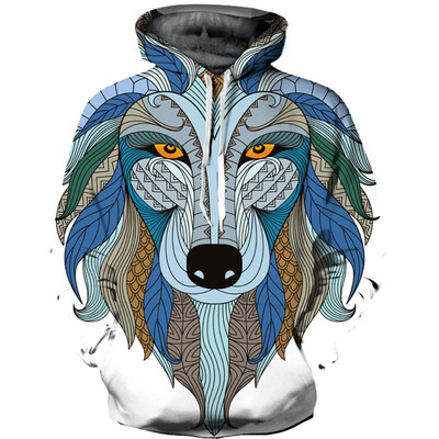 

QL-587 Mens Hoodie 3D Printed Women Pullover Sweater