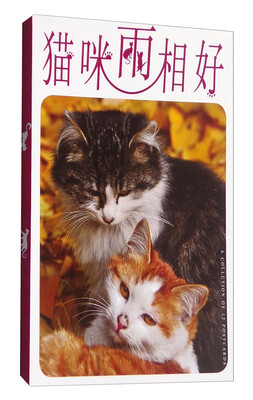 

猫咪两相好（明信片）