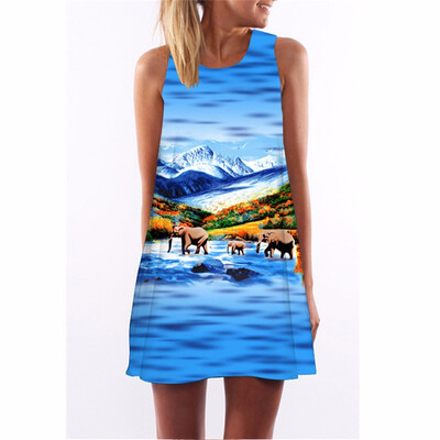 

Chiffon Summer Dress Floral Print Boho Dresses For Women Casual Beach Sleeveless Sundress