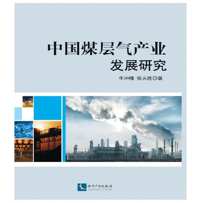 

中国煤层气产业发展研究