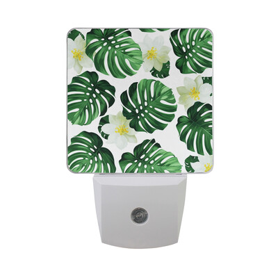 

ALAZA LED Night Light With Smart Dusk To Dawn SensorHindu Lord Ganesha Plug In Night Light