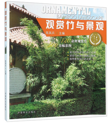 

观赏竹与景观