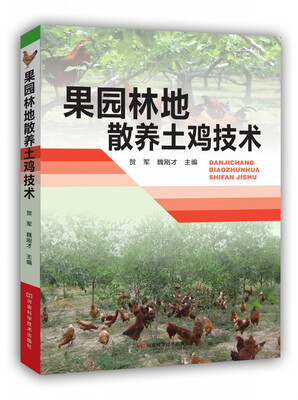 

果园林地散养土鸡技术
