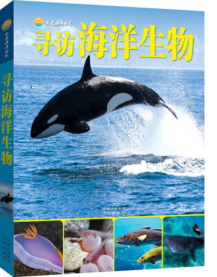 

寻访海洋生物