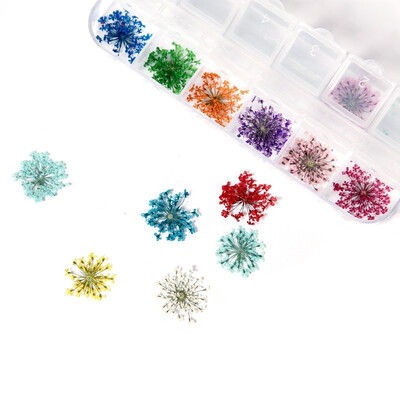

ROSALIND 12 ColorBox Nail Art Nature Dry Flowers Set Gel Polish Tip 3D DIY Floral Decoration Nail Art Tools
